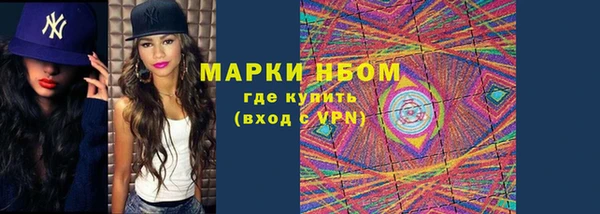 прущие грибы Белоозёрский